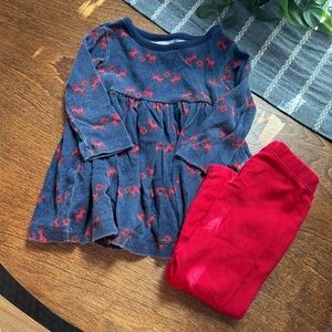 Hanna Andersson baby Skater dress & leggings set